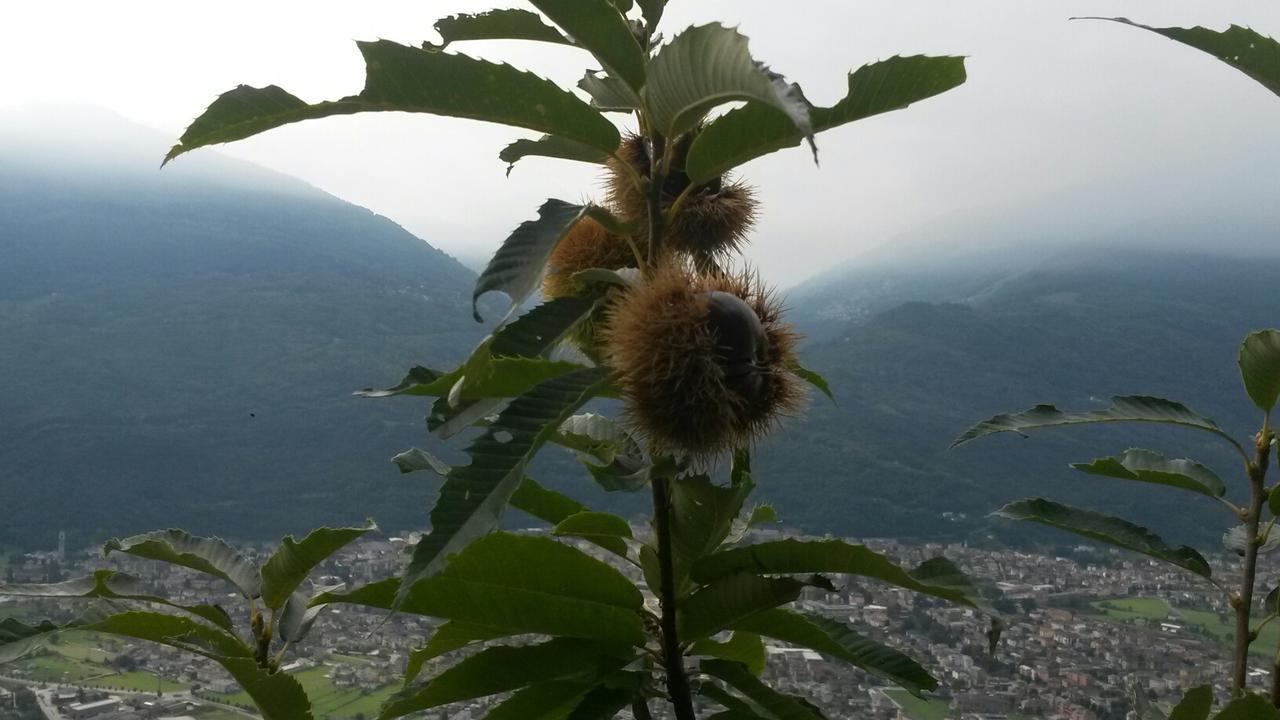 Agriturismo Da Ysy Civo Kültér fotó